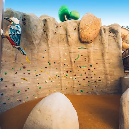 Iberostar Waves Bouganville Playa מלון 4*